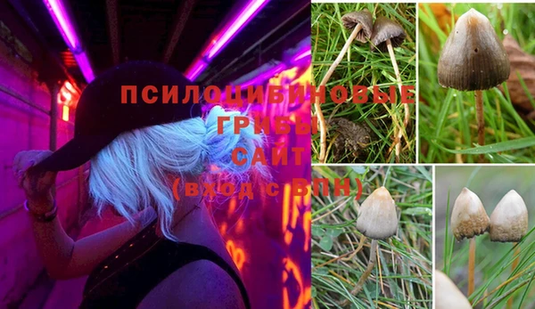 MESCALINE Алексеевка