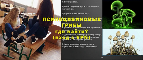 МДПВ Алзамай
