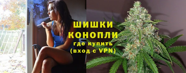 трава Алексин