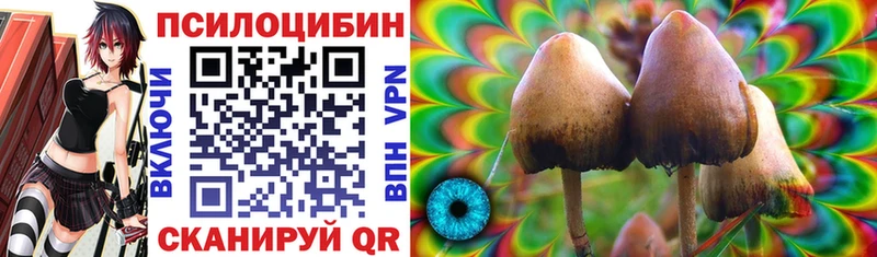 kraken маркетплейс где можно купить наркотик Сураж Галлюциногенные грибы мухоморы
