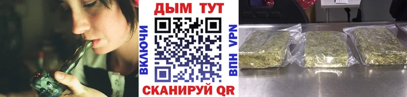 Шишки марихуана индика  где купить наркоту  Сураж 